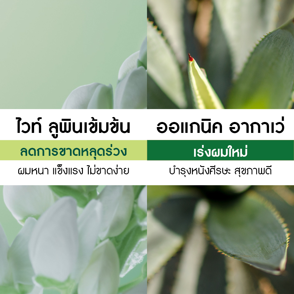 แอนตี้-แฮร์ลอส วิท ไวท์ ลูปิน ฟอร์ติฟายอิ้ง คอนดิชั่นเนอร์ 200 มล.