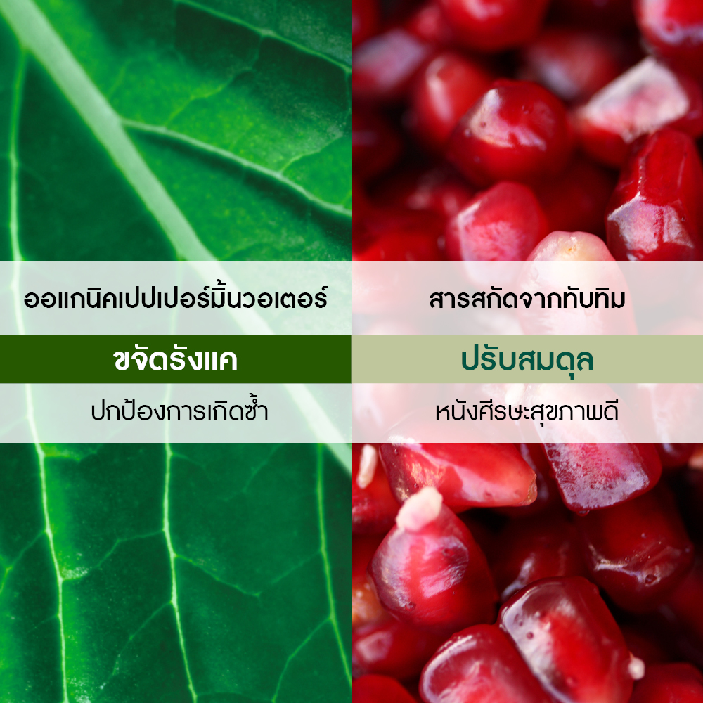 แอนตี้-แดนดรัฟ วิท ออแกนิค เปเปอร์มิ้นท์ ทรีตเมนต์ แชมพู 300 มล.