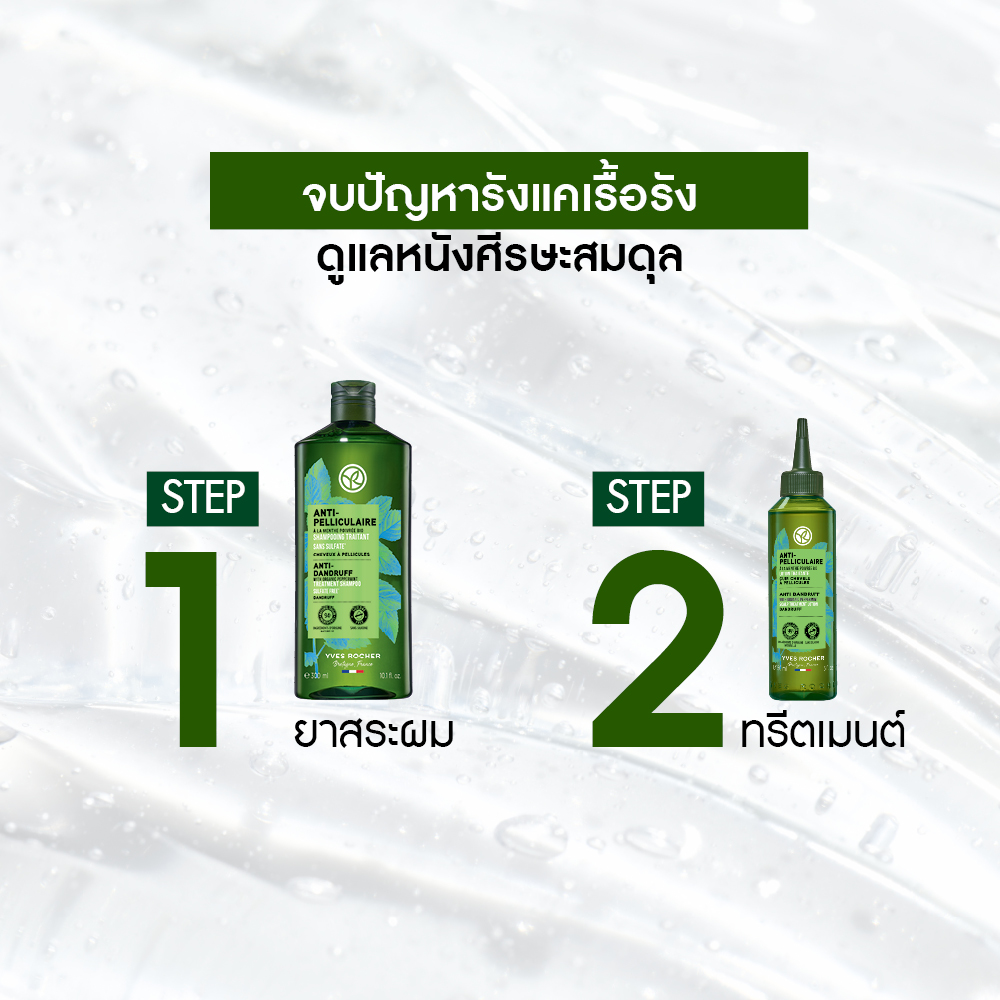 แอนตี้-แดนดรัฟ วิท ออแกนิค เปเปอร์มิ้นท์ ทรีตเมนต์ แชมพู 300 มล.