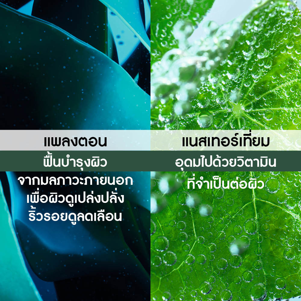 ELIXIR BOTANIQUE RECOVERY NIGHT SERUM 30ml ผิวอ่อนแอ เผชิญมลภาวะ