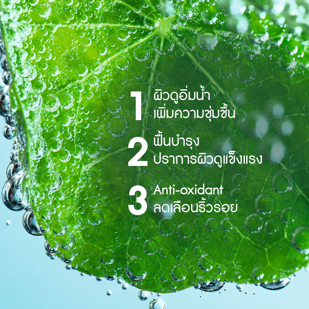 ELIXIR BOTANIQUE RECOVERY NIGHT SERUM 30ml ผิวอ่อนแอ เผชิญมลภาวะ