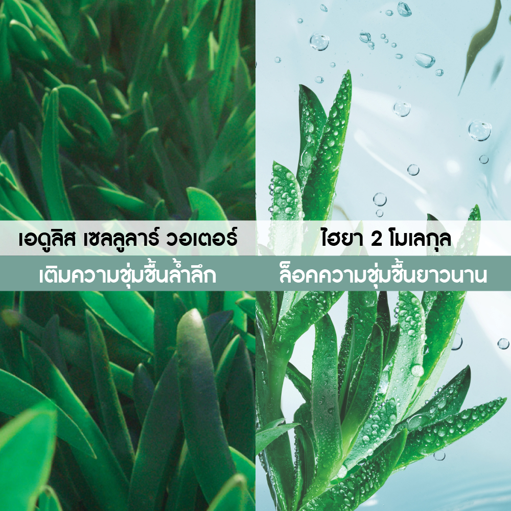 HYDRA VEGETAL INTENSE MOISTURIZING CARE 75 ml ผิวแห้งขาดความชุ่มชื้น