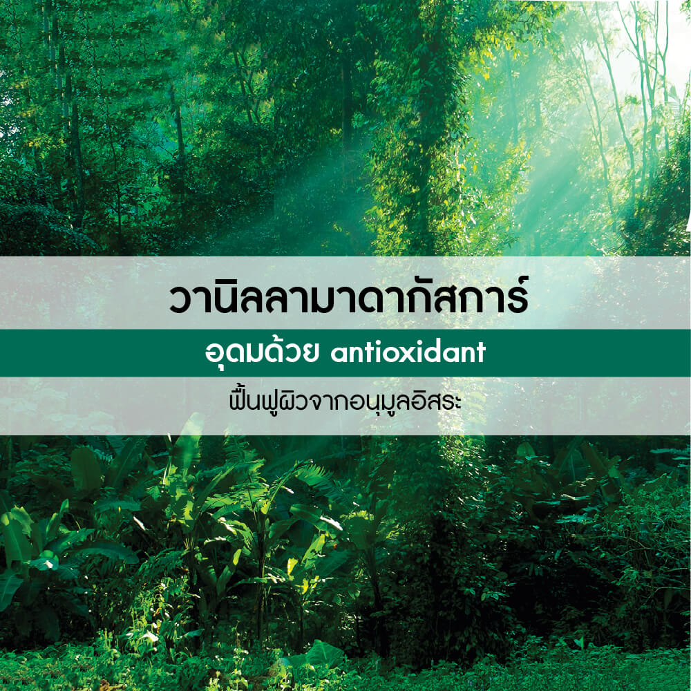 เบอเบิน วานิลลา บอดี้ แอนด์ แฮร์ มิสท์ 100 มล.