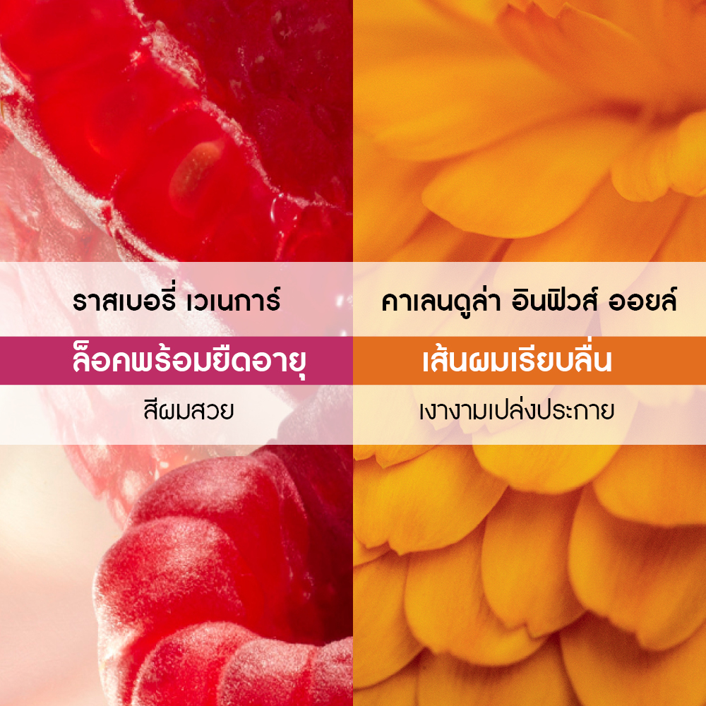 คัลเลอร์ วิท ราสเบอร์รี่ เวเนการ์ เรเดียนซ์ โพรเทคทีฟ มาส์ก 200 มล.