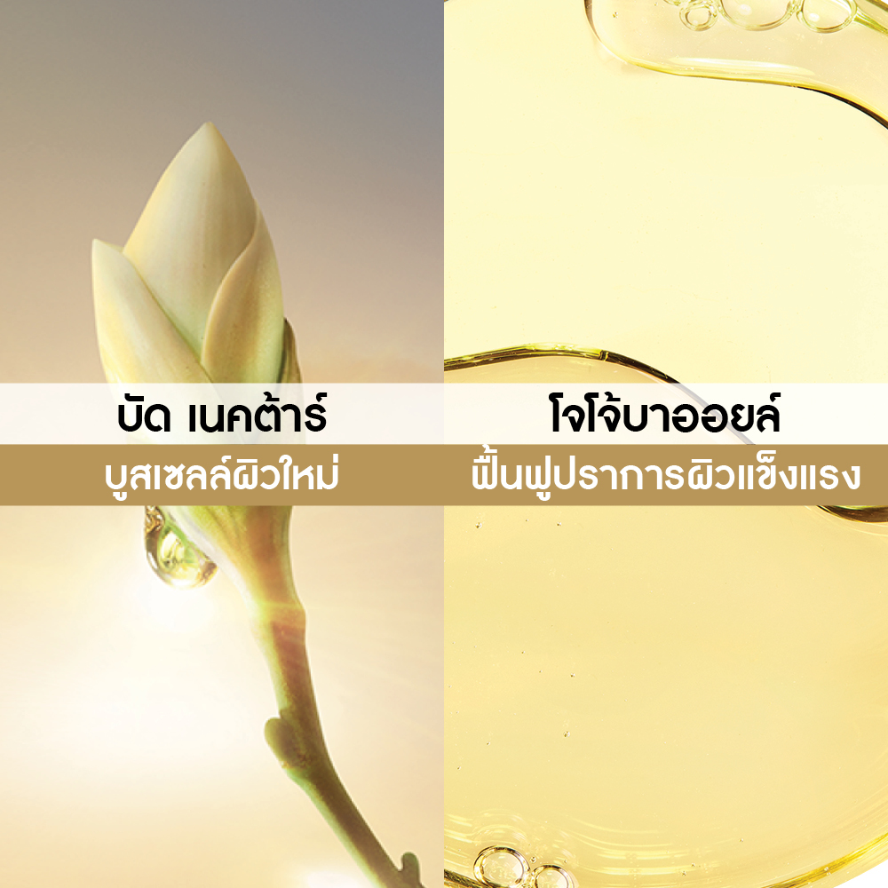 แอนตี้-เอจ โกลบอล เดอะ ไบ-เฟส ไนท์ รีโคเวอร์รี่ คอนเซนเทรต  30 มล.