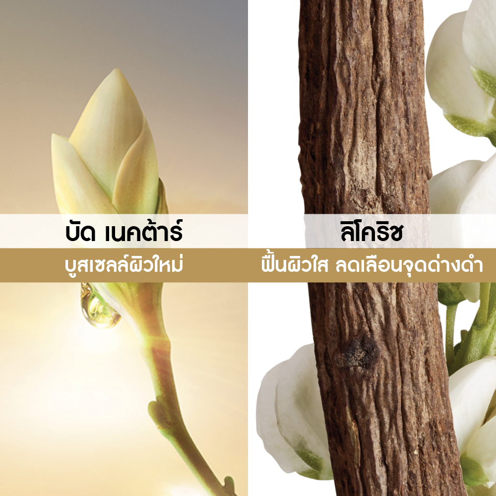 แอนตี้-เอจ โกลโบล เดอะ แอนตี้-เอจจิ้ง คอเรคติ้ง ซุปปร้า เอสเซนส์  50 มล.