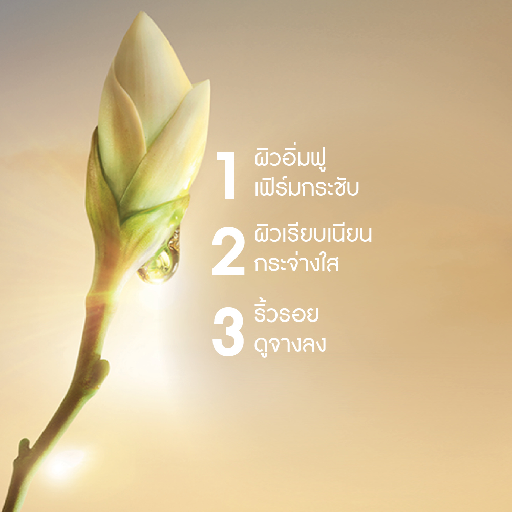 แอนตี้-เอจ โกลบอล เดอะ แอนตี้-เอจจิ้ง อิลูมิเนชั่น แคร์  15 มล.