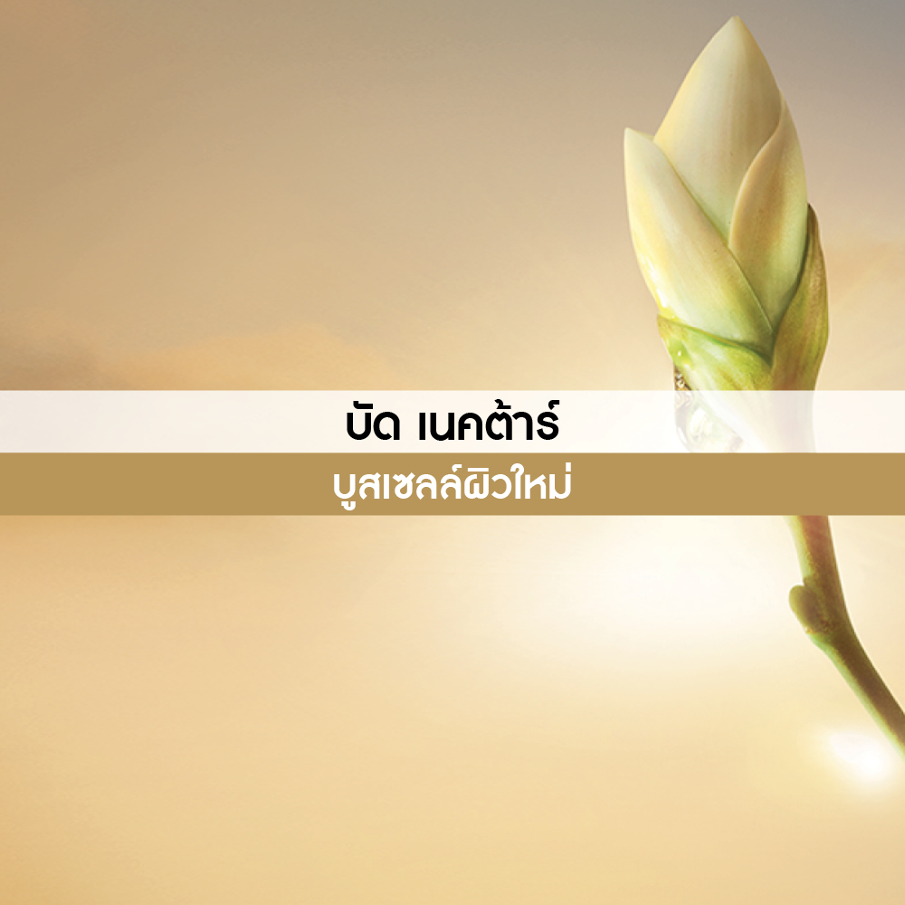 แอนตี้-เอจ โกลโบล เดอะ แอนตี้-เอจจิ้ง บิวตี้ฟายอิ้ง ครีม เดย์  50 มล.