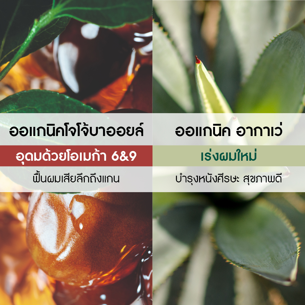 รีแพร์ วิท ออแกนิค โจโจ้บา รีสโตร์ริ่ง มาส์ก 200 มล.
