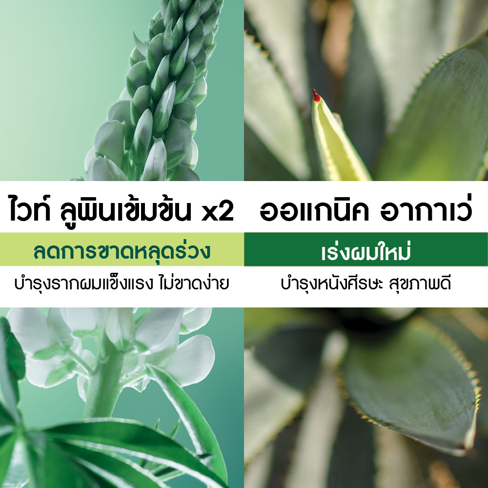 แอนตี้-แฮร์ อินเทนซีฟ ทรีตเมนต์ สำหรับ 1 เดือน  15 มล. x 4