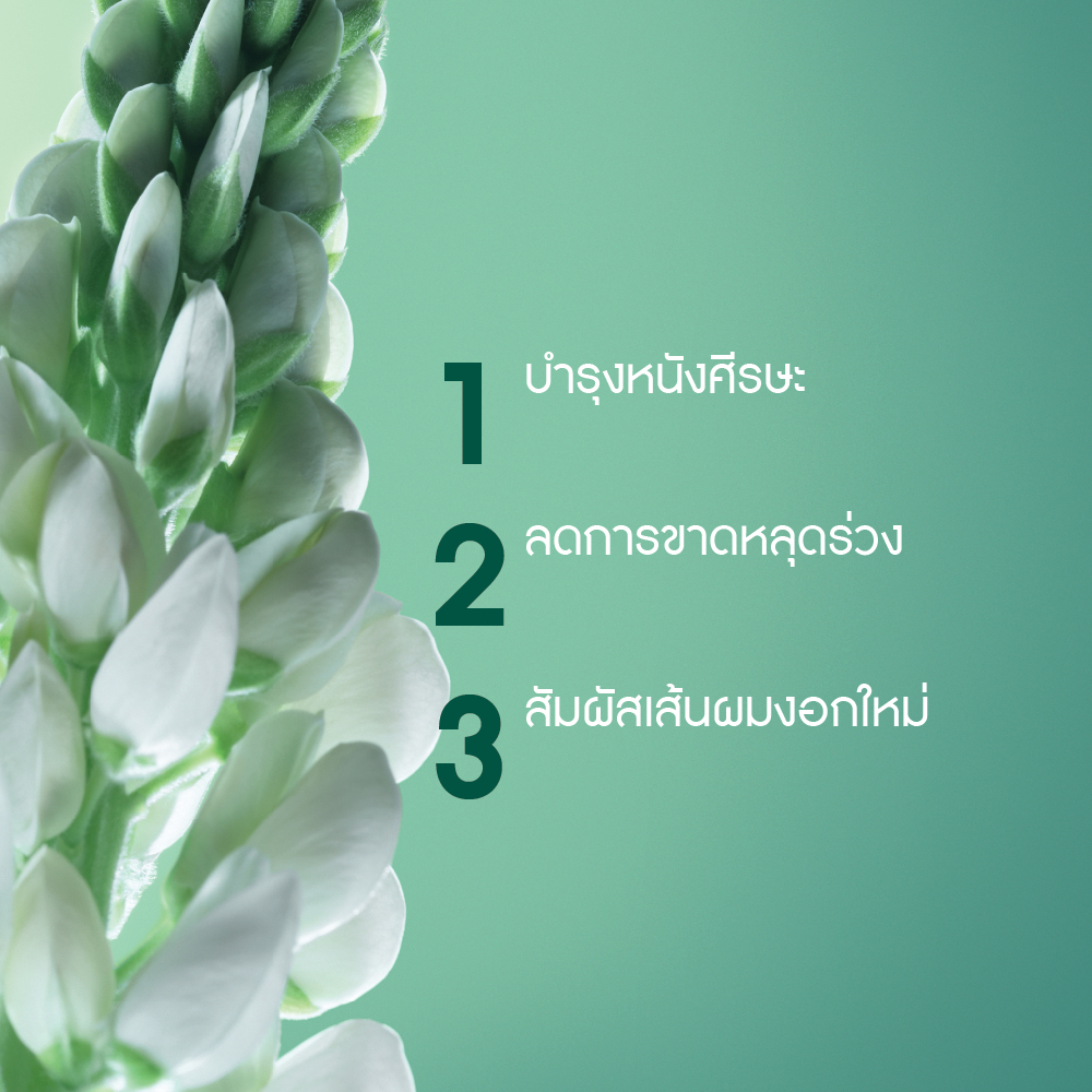 แอนตี้-แฮร์ อินเทนซีฟ ทรีตเมนต์ สำหรับ 1 เดือน  15 มล. x 4