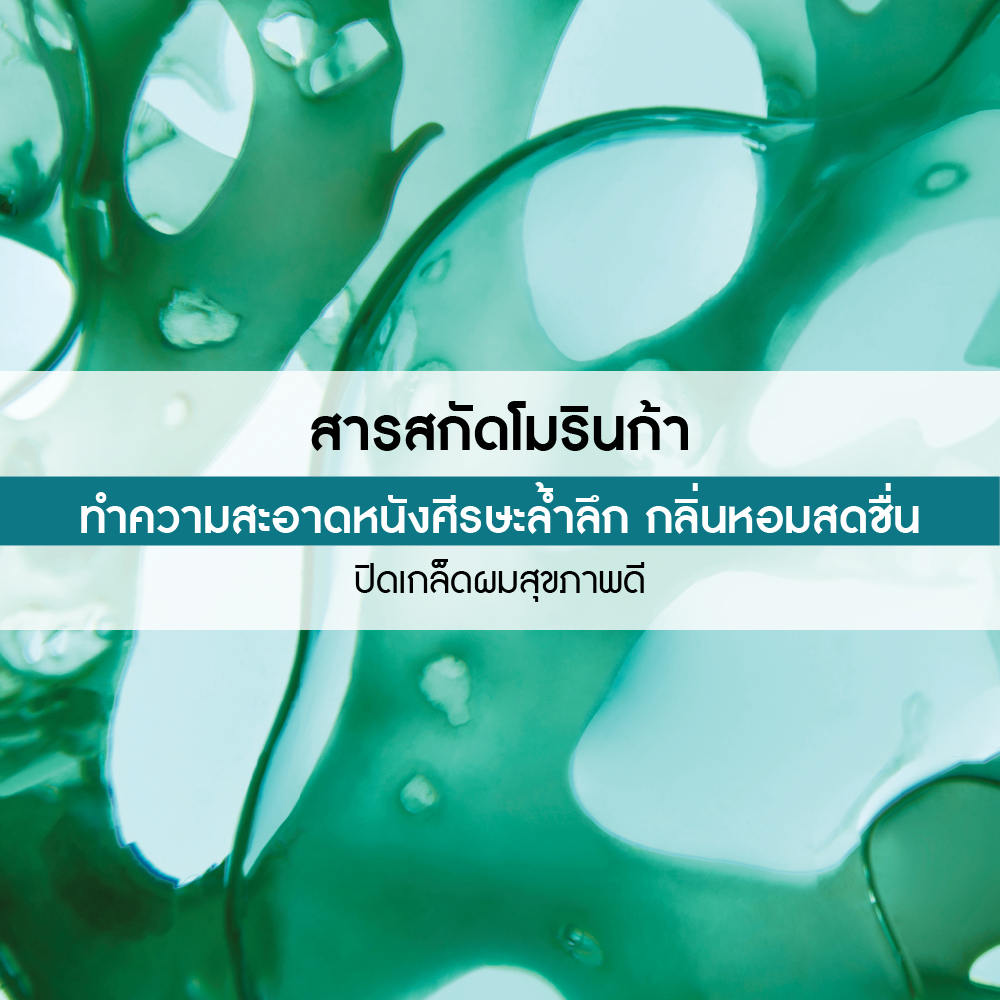 รีเฟรช เวเนการ์ วิท โมรินก้า รินซิ่ง โลชั่น 400 มล.