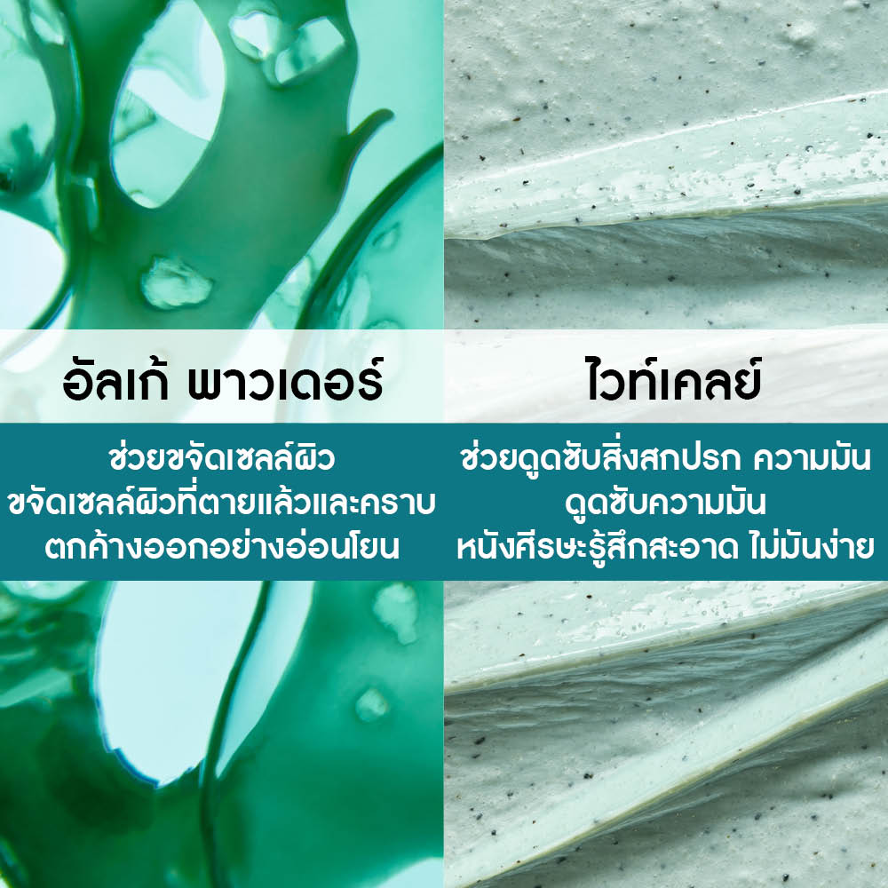 เพียว ดีท็อกซ์ วิท ออแกนิค อัลเก้ 2-อิน-1 เอกซ์โฟลิเอติ้ง มาส์ก พรี-แชมพู 300 มล.