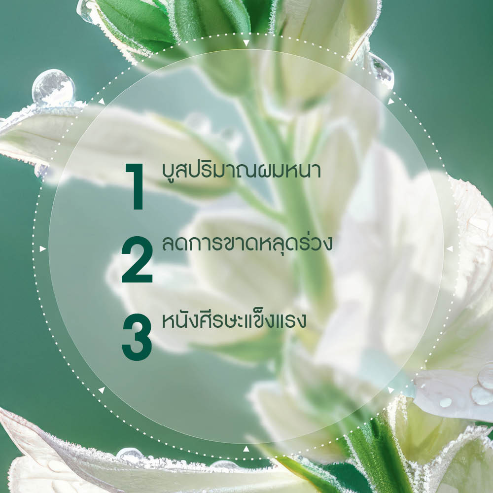 แอนตี้-แฮร์ลอส แฮร์ เดนซิฟายอิ้ง บูสเตอร์ 195 มล.