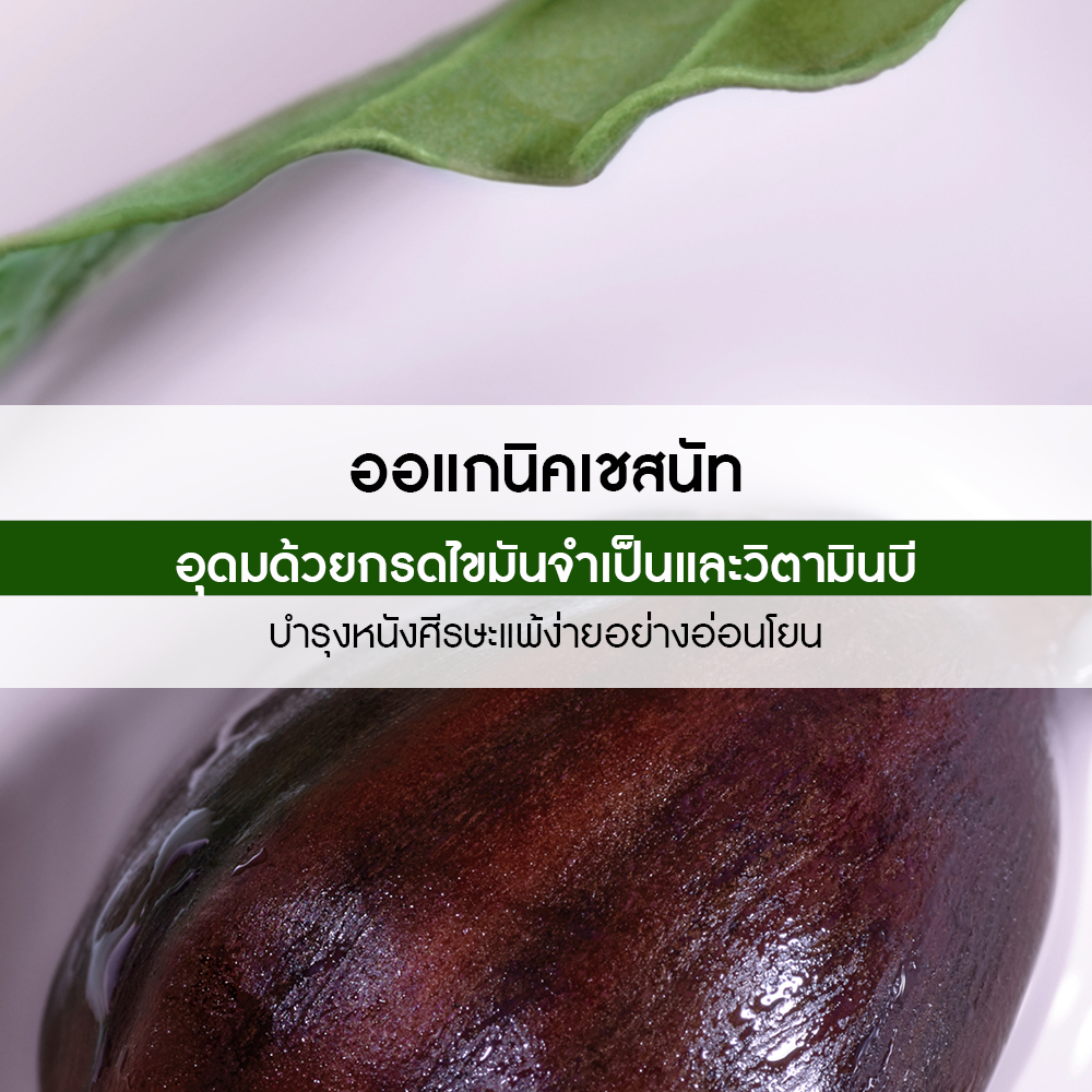 เจนเทิล วิท ออแกนิค เชสนัท มิ้ลค์ เจนเทิล นูริชชิ่ง คอนดิชั่นเนอร์ 200 มล.