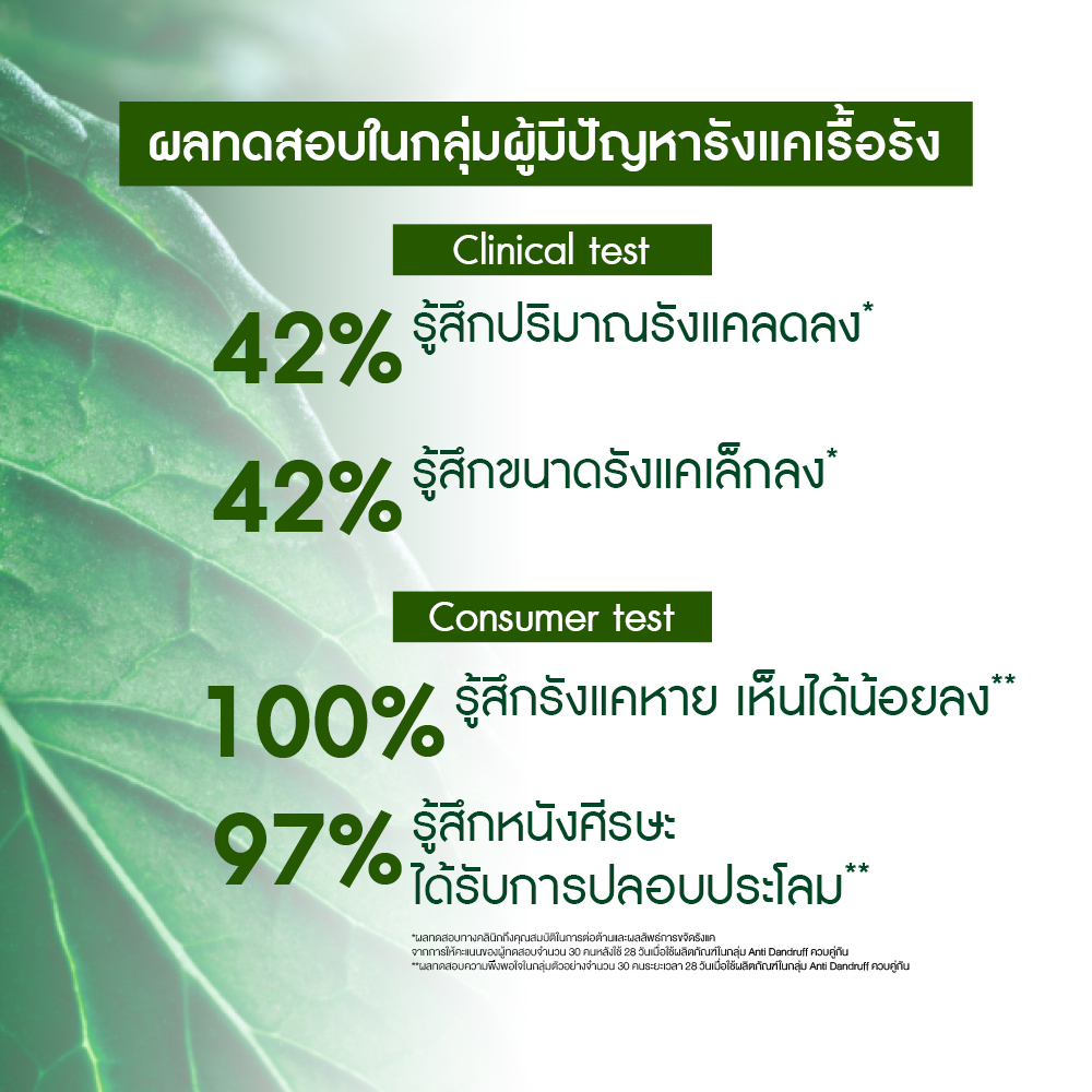แอนตี้-แดนดรัฟ วิท ออแกนิค เปเปอร์มิ้นท์ ทรีตเมนต์ แชมพู 300 มล.