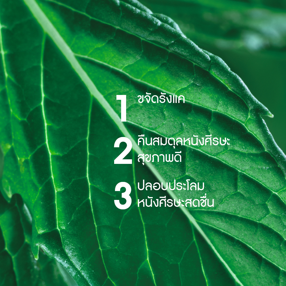 แอนตี้-แดนดรัฟ วิท ออแกนิค เปเปอร์มิ้นท์ สคัลพ์ ทรีตเมนต์ โลชั่น 150 มล.