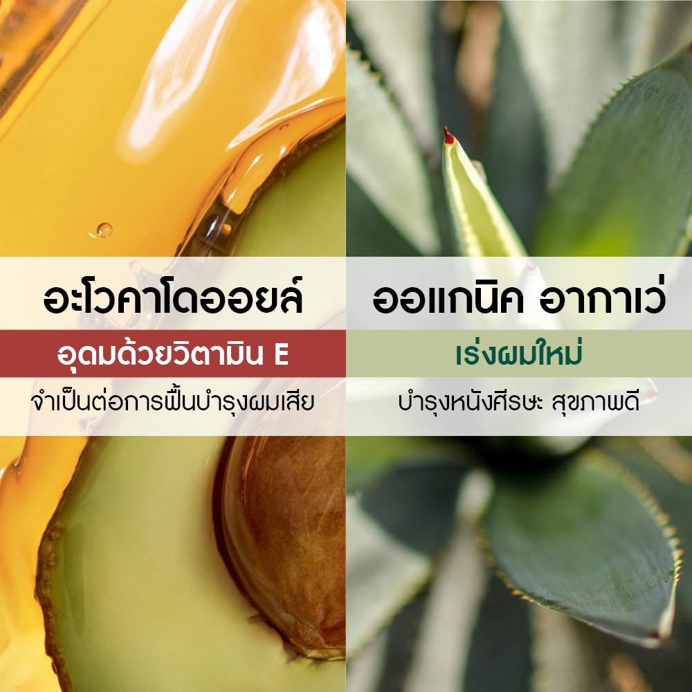 รีแพร์เรชั่น ไลท์ โบทานิคอล บาล์ม  150 มล.