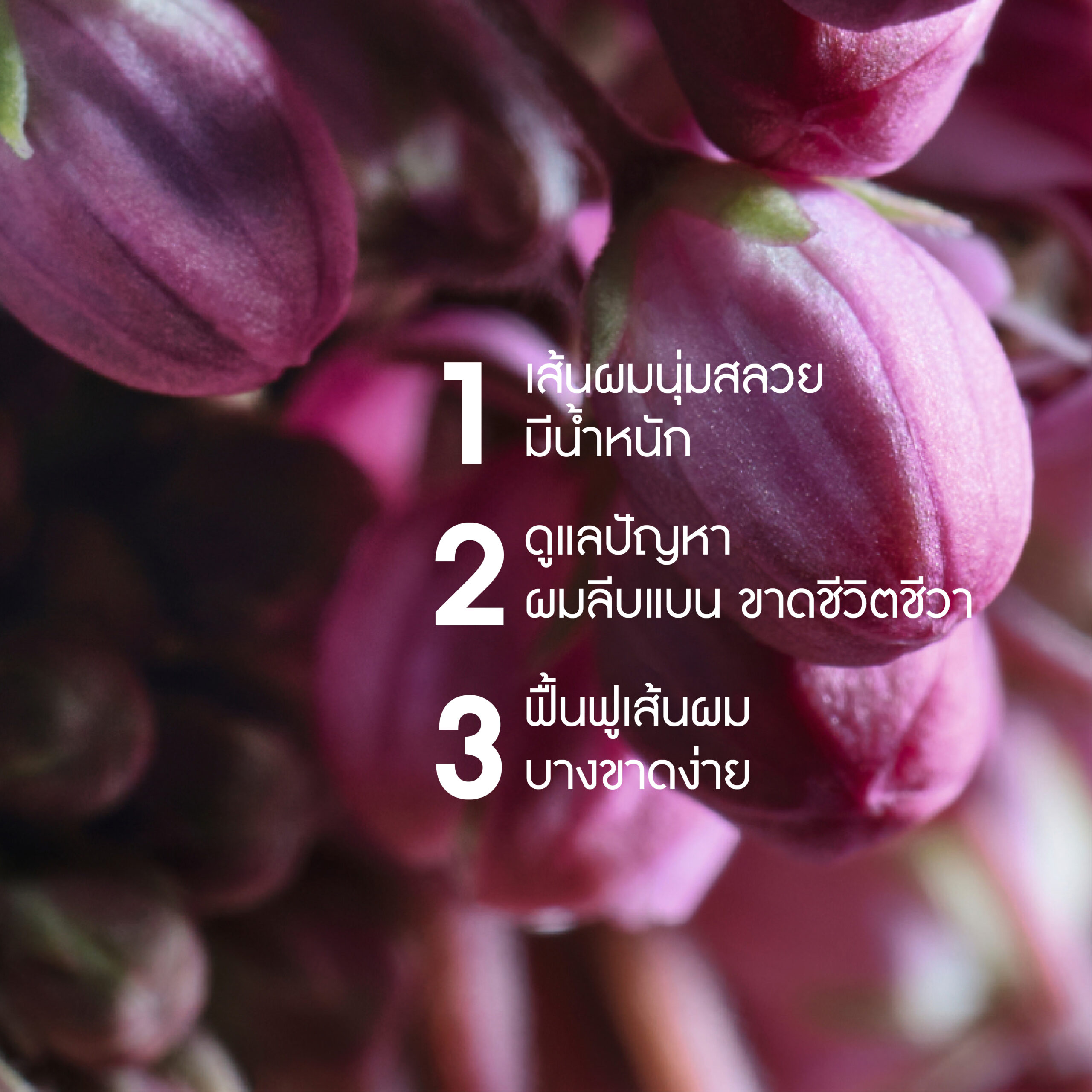 โวลลุ่ม วิท ควินัวร์ เปปไทด์ พลัมปิ้ง แชมพู 300 มล.