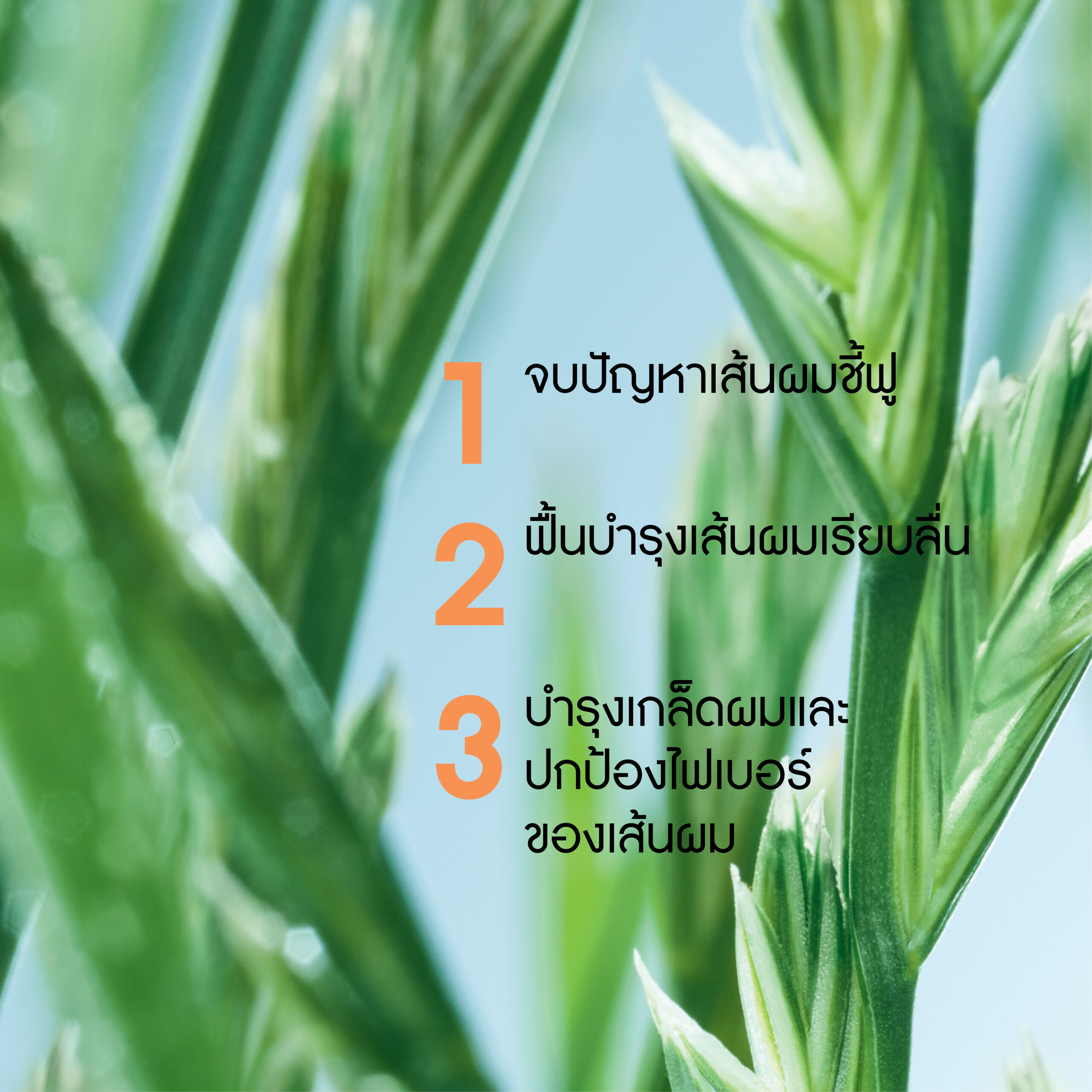 สมูธติ้ง วิท ไรซ์ เปปไทด์ สมูธติ้ง แชมพู 300 มล.