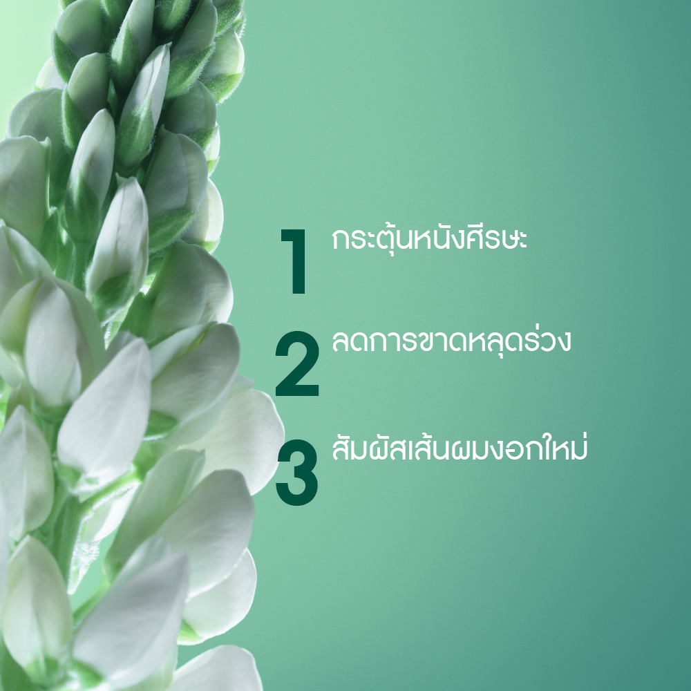 สเตรงท์ วิท จินเส็ง สคัลพ์ บูสเตอร์ เซรั่ม 75 มล.