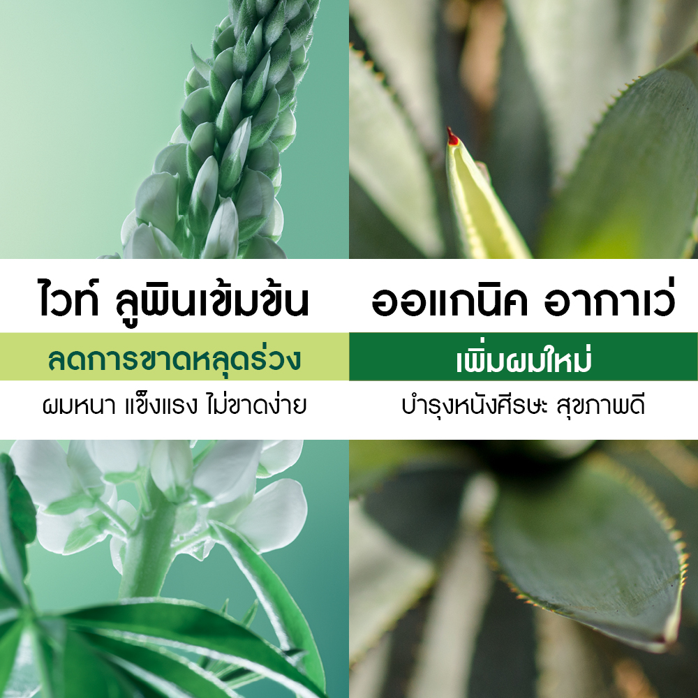 แอนตี้-แฮร์ลอส วิท ไวท์ ลูปิน ฟอร์ติฟายอิ้ง แชมพู 300 มล.