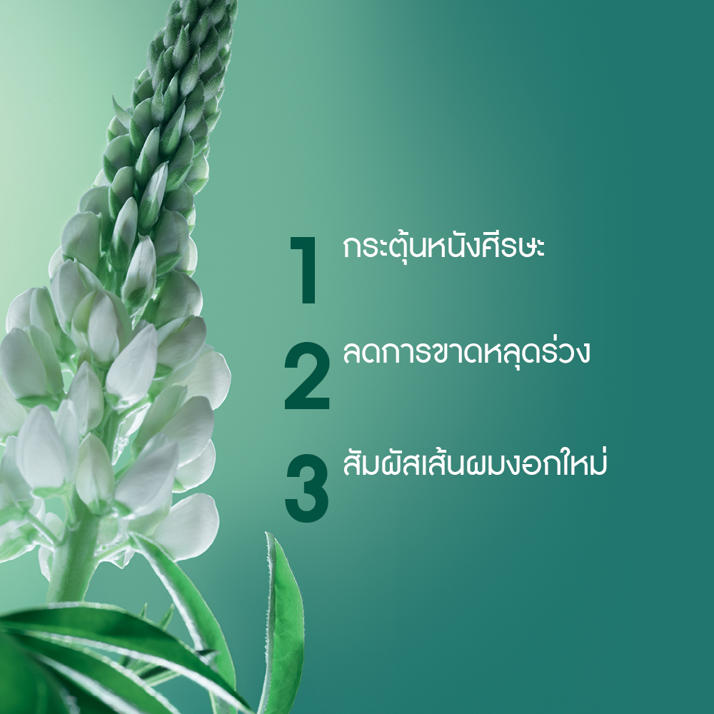 แอนตี้-แฮร์ลอส วิท ไวท์ ลูปิน ฟอร์ติฟายอิ้ง แชมพู 300 มล.