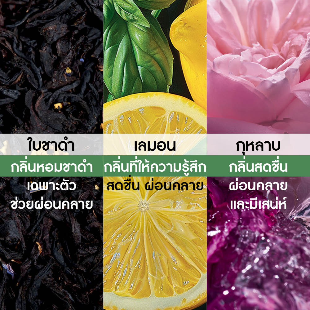 แวร์ อองโวเล่ เออ เดอ พาร์ฟูม 100 มล.