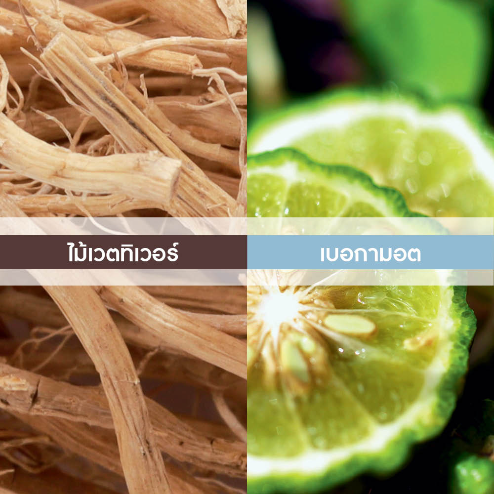 กรานิต เบลอ เออ เดอ ทอยแลตต์ 100 มล.