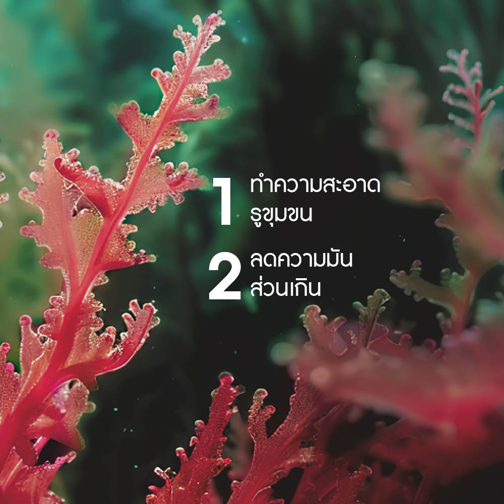 เซโบ แอคทีฟ เคลียร์ พอร์ เคลียริ่ง ชาร์โคล มาส์ก 75 มล.