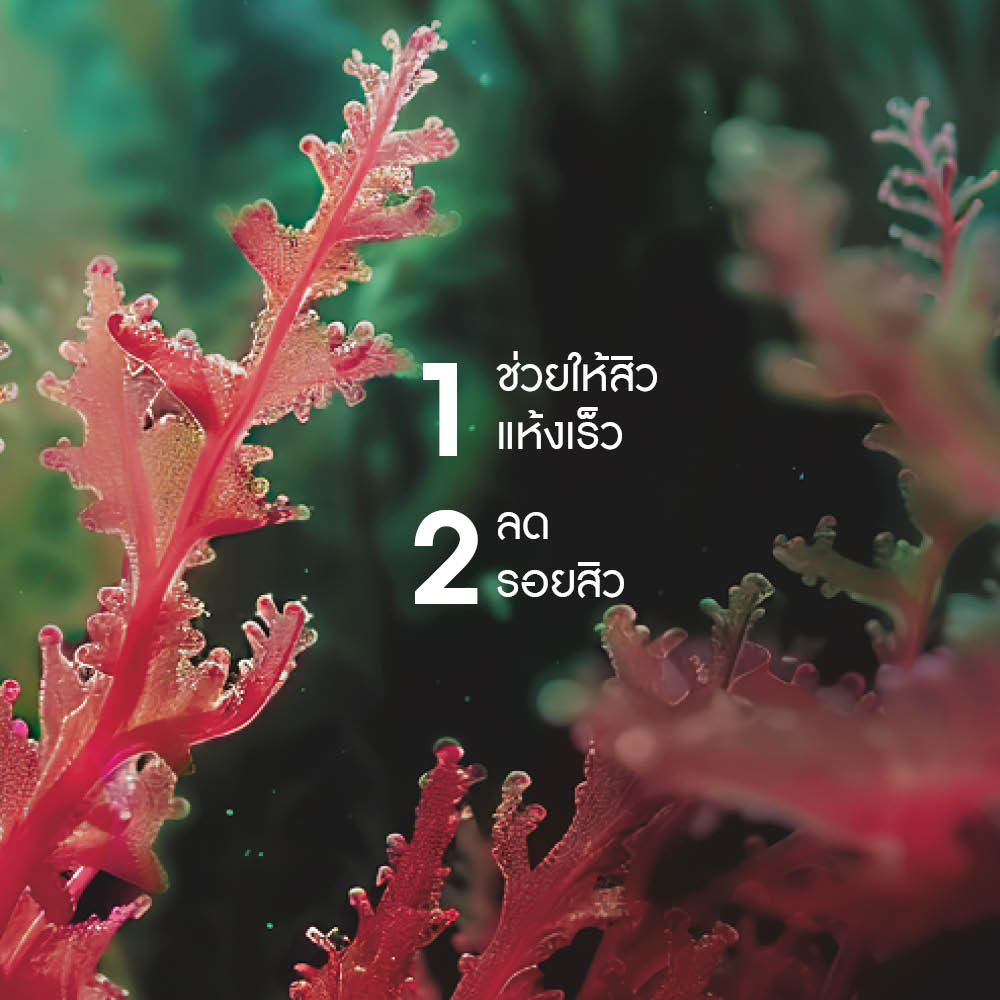 เซโบ แอคทีฟ เคลียร์ เอสโอเอส สปอต 10 มล.