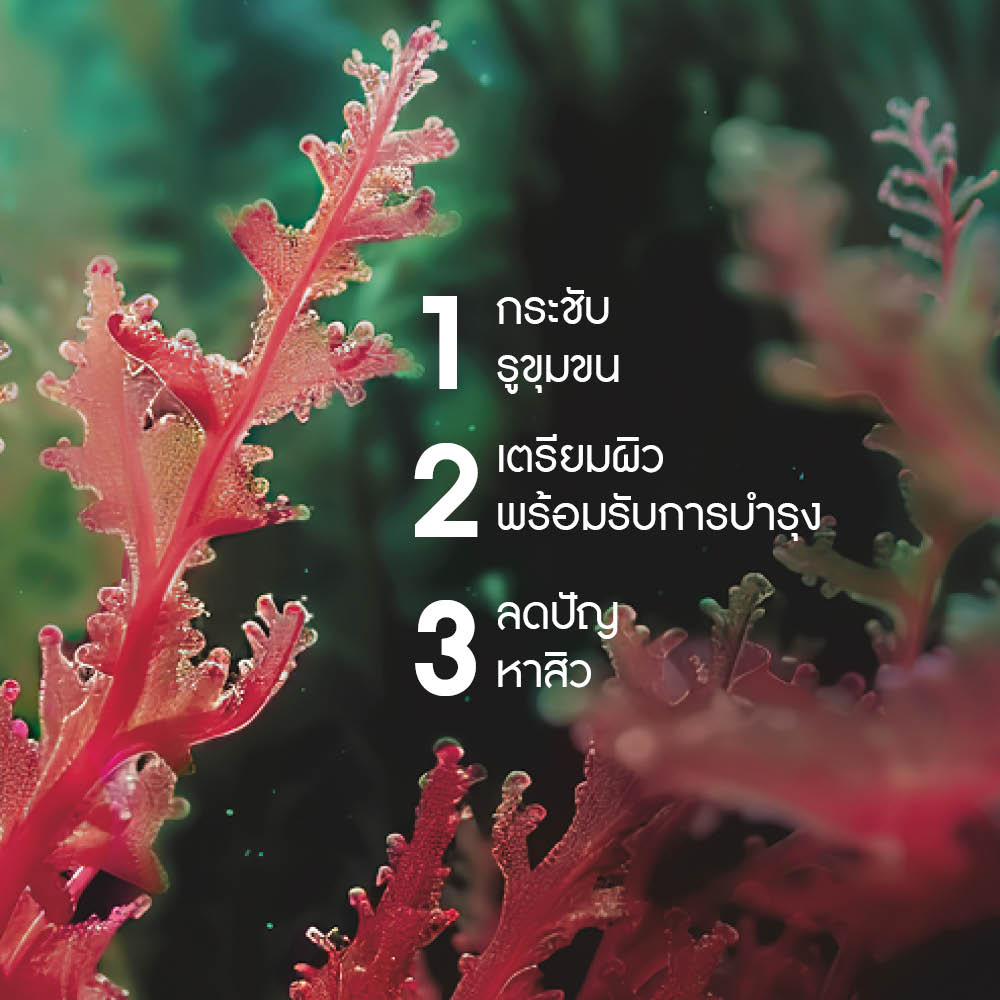 เซโบ แอคทีฟ เคลียร์ เคลียร์ริฟายอิ้ง โลชั่น 150 มล.