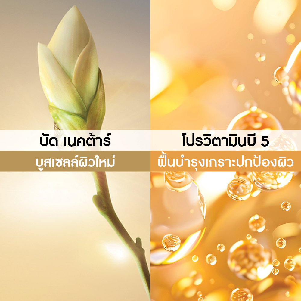 แอนตี้-เอจ โกลโบล เดอะ อัลติเมท รีเจนเนอเรติ้ง แคร์ 75 มล.