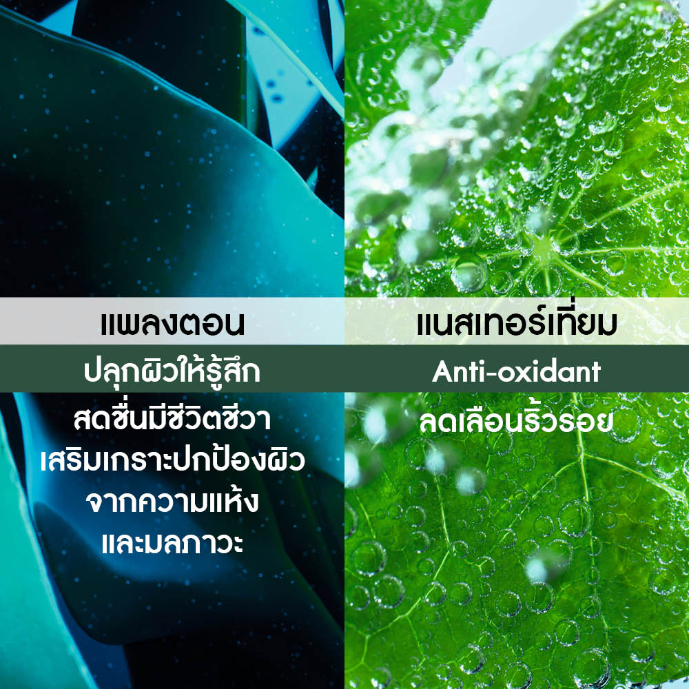 อีลิเซีย โบทานีค ยูวี ชีล์ด เอสพีเอฟ 50+ พีเอ++++ 30 มล.