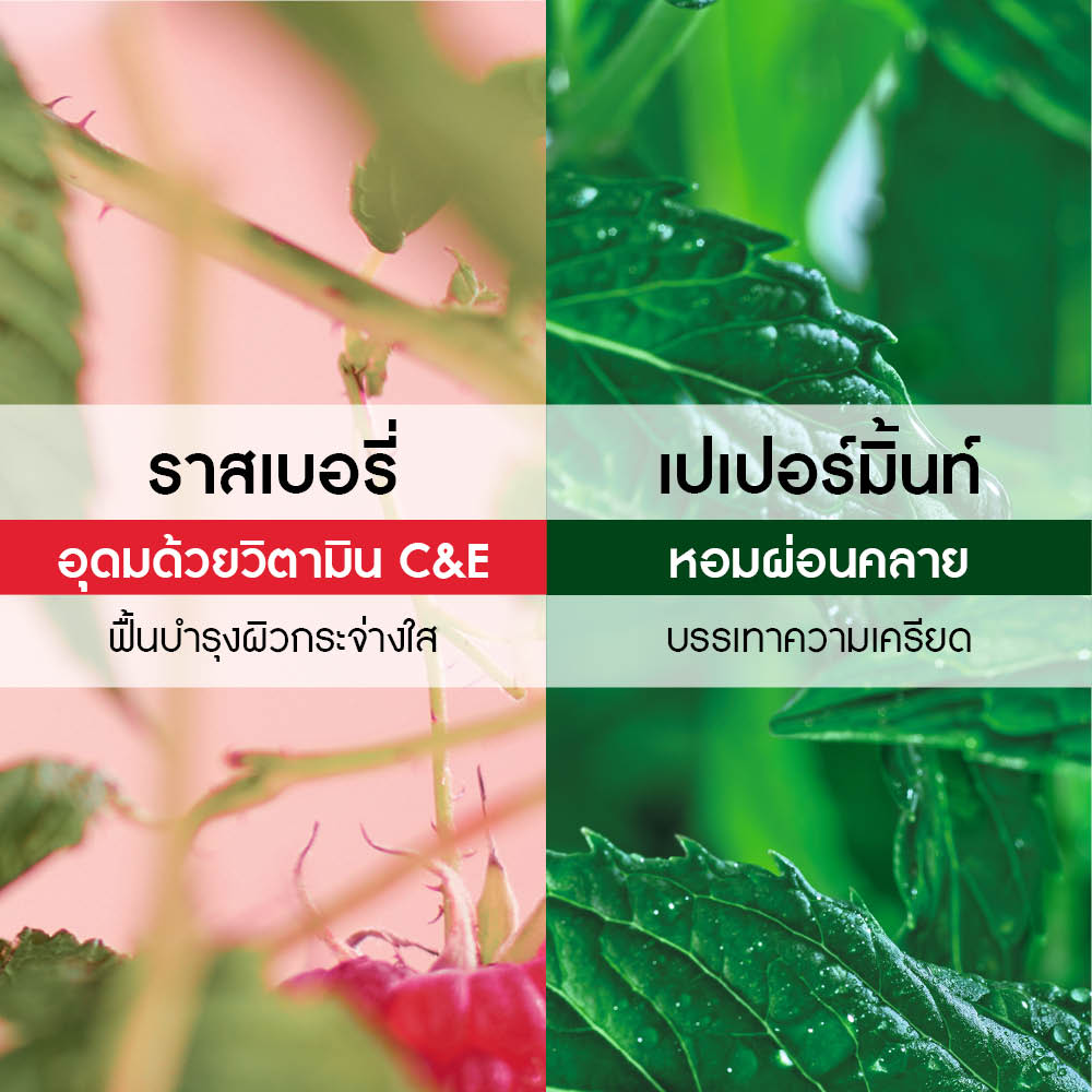 ราสเบอร์รี่ แอนด์ เปเปอร์มิ้นท์ เอเนอไจซิ่ง บาธ แอนด์ ชาวเวอร์ เจล (อีโค-รีฟีล) 600 มล.