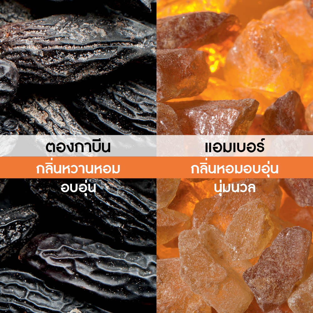 เซเบิล โฟว์ฟ เออ เดอ พาร์ฟูม 100 มล.