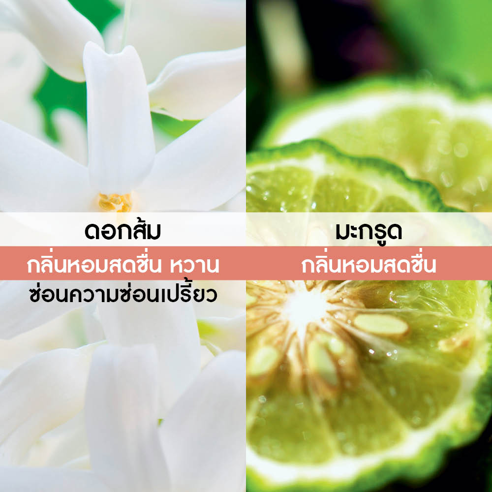 มาติน บลังซ์เออ เดอ ปาร์ฟูม 100 มล.