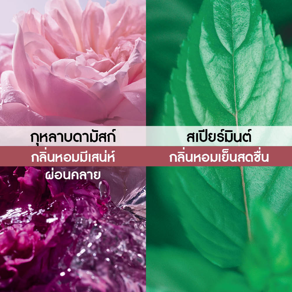 การ์เด้น ปาร์ตี้ เออ เดอ ปาร์ฟูม 30 มล.