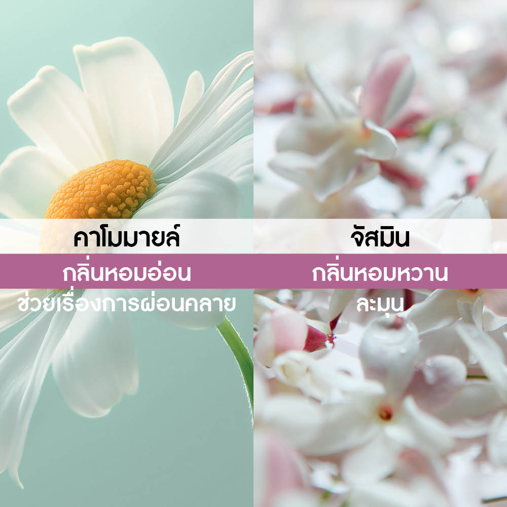 เซอร์ลา แลนด์ เออ เดอ พาร์ฟูม 100 มล.