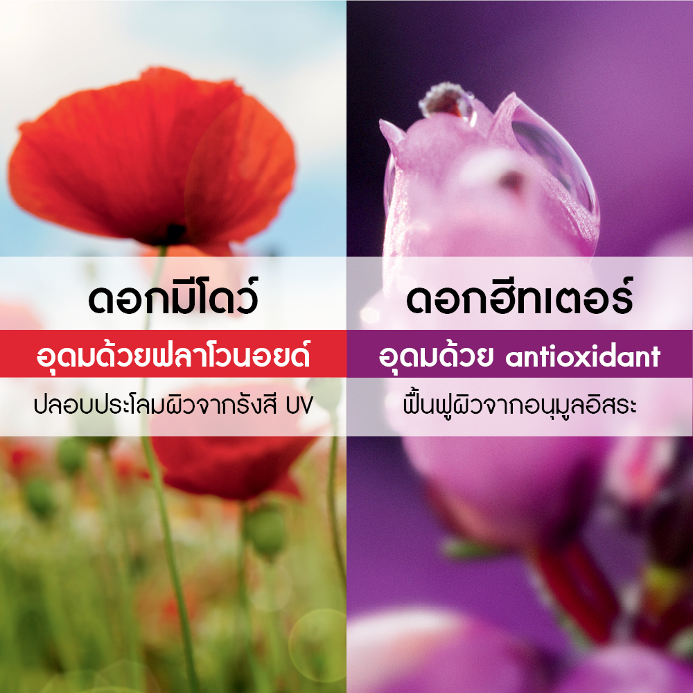 มีโดว์ ฟลาวเวอร์ แอนด์ ฮีทเตอร์ โฟมมิ่ง แฮนด์ โซป 190 มล.