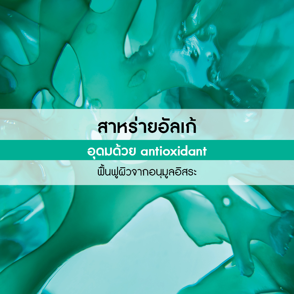 เดอะ ไวด์ อัลเก้ คอนเซนเทรต ชาวเวอร์ เจล 100 มล.