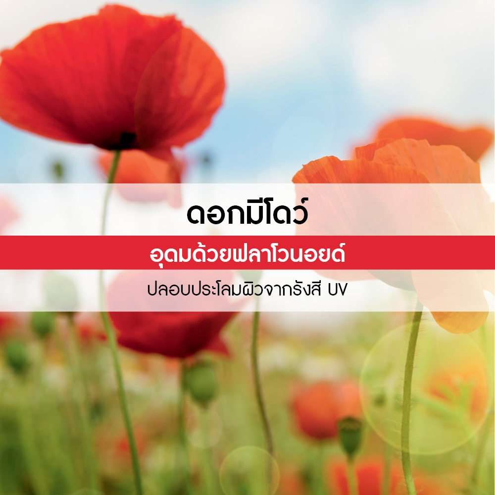 เดอะ มีโดว์ ฟลาวเวอร์ คอนเซนเทรต ชาวเวอร์ เจล 100 มล.