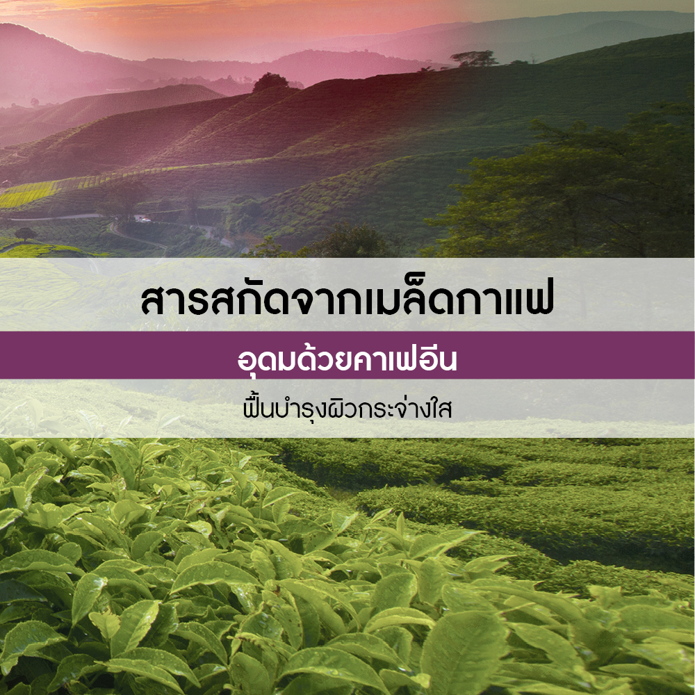 คอฟฟี่ บีน คอมฟอร์ตติ้ง บาธ แอนด์ ชาวเวอร์ เจล 400 มล.