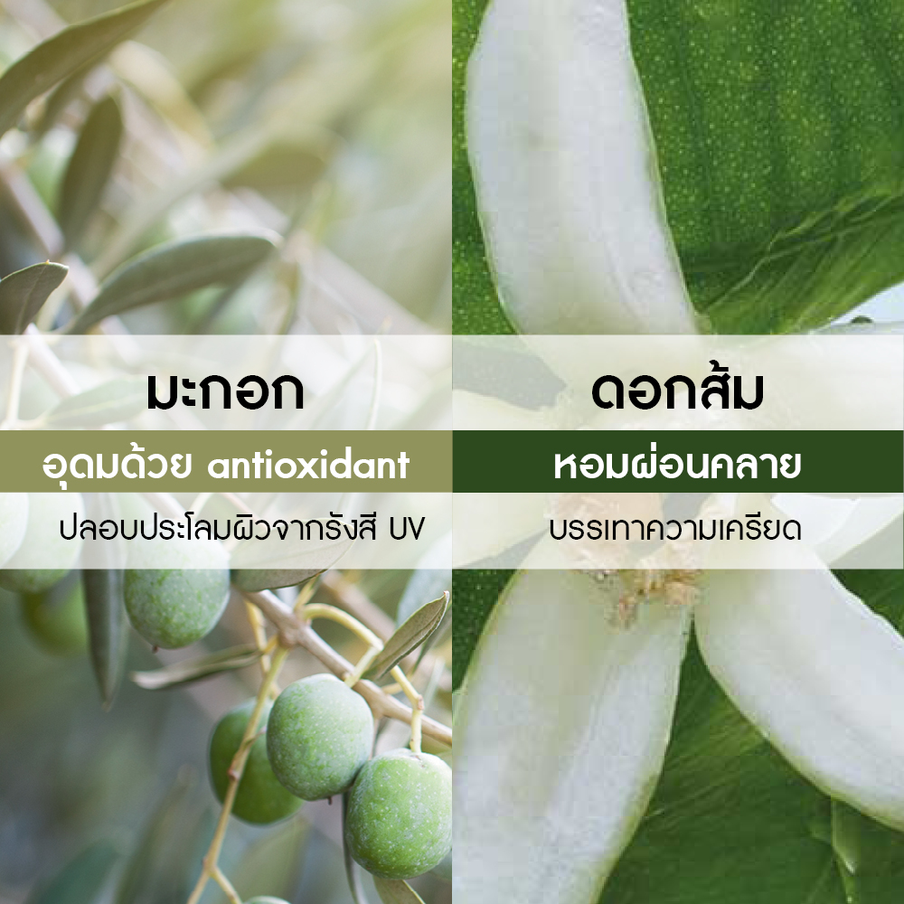 โอลีฟ แอนด์ เพทติเกรน รีแลคซิ่ง บาธ แอนด์ ชาวเวอร์ เจล 400 มล.