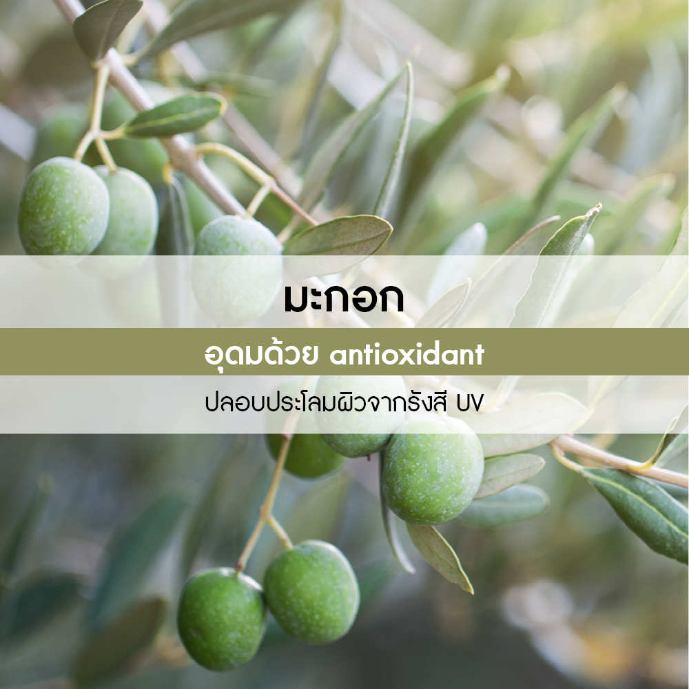 เดอะ โอลีฟ คอนเซนเทรต ชาวเวอร์ เจล 100 มล.