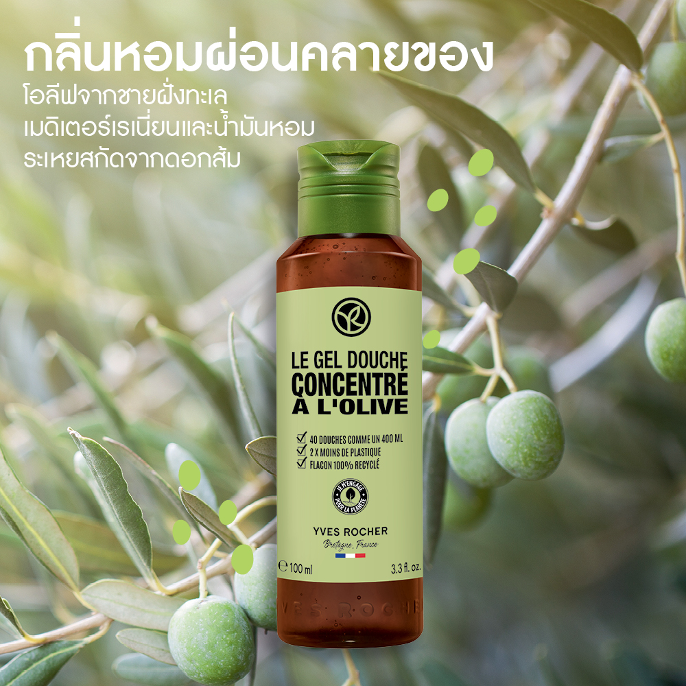 เดอะ โอลีฟ คอนเซนเทรต ชาวเวอร์ เจล 100 มล.