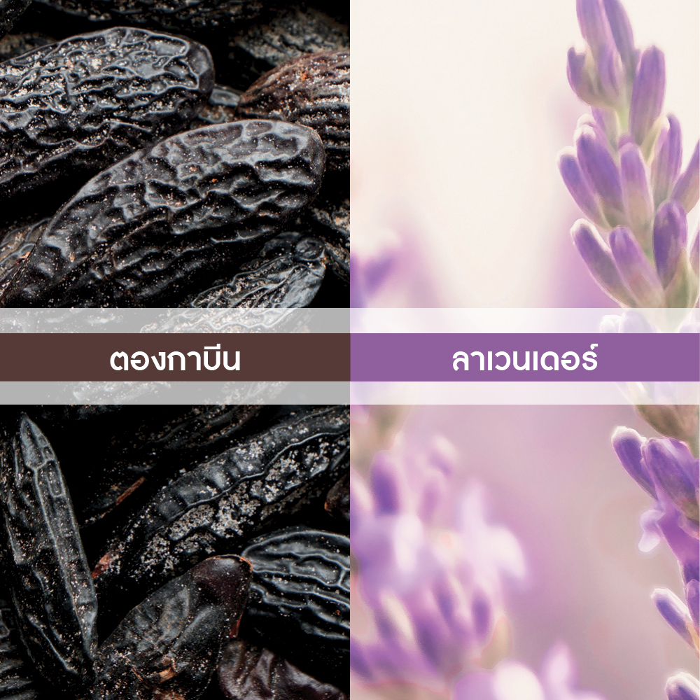 ฮอกการ์ เออ เดอ ทอยแลตต์ 100 มล.