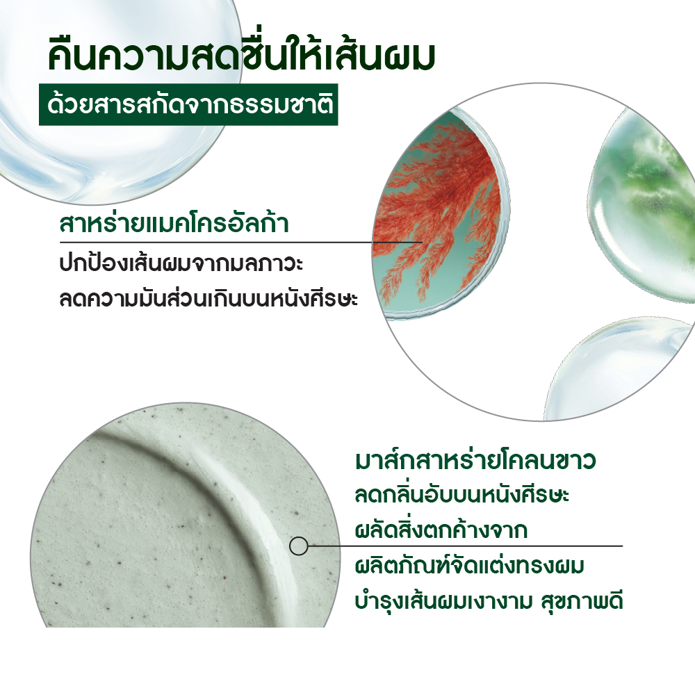 PURITY SCALP EXFOLIATING MASK 200ml